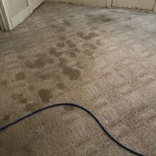 Image for Sears Carpet Cleaning & Air Duct Cleaning with ID of: 2499088