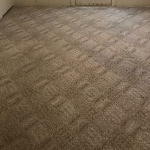 Image for Sears Carpet Cleaning & Air Duct Cleaning with ID of: 2499089
