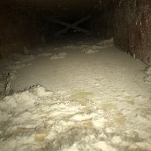 Image for Sears Carpet Cleaning & Air Duct Cleaning with ID of: 2499090