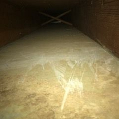 Image for Sears Carpet Cleaning & Air Duct Cleaning with ID of: 2499091