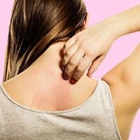 Image for Alpine Dermatology Associates with ID of: 2499402