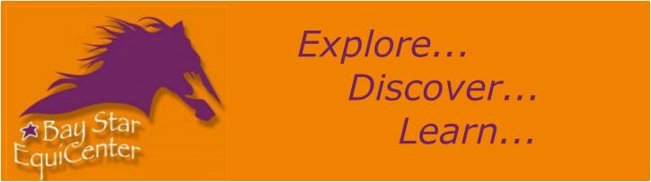 Image for Equine Assisted Psychotherapy and Learning with ID of: 2500343