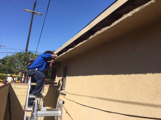 Image for Mills Pest Management with ID of: 2501174