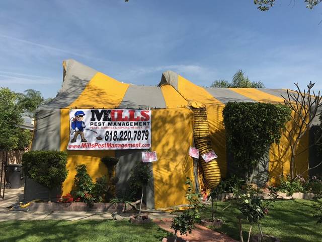 Image for Mills Pest Management with ID of: 2501189