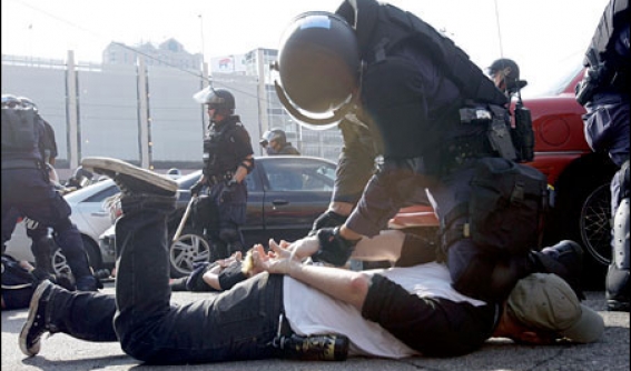 Image for Michael C. Grieco, P.A. with ID of: 2501346