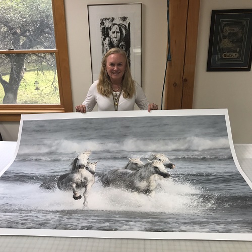 Image for The Highland Studio with ID of: 2501771