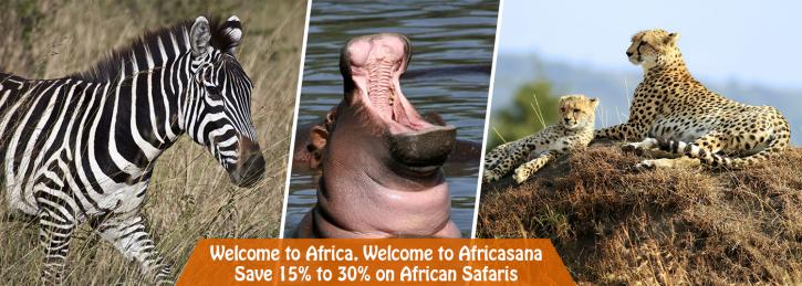 Image for Africasana with ID of: 2506373