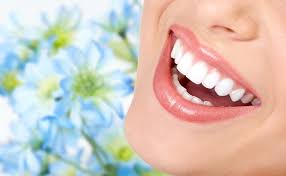 Image for Brickyard Dental Clinic with ID of: 2507365