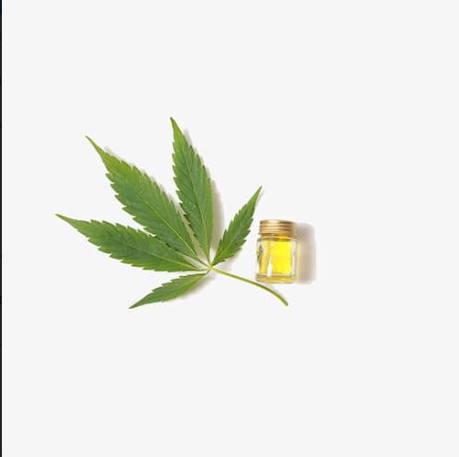 Image for Discover CBD with ID of: 2507473