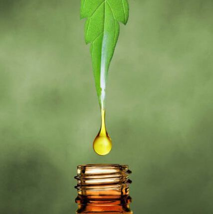 Image for Discover CBD with ID of: 2507478
