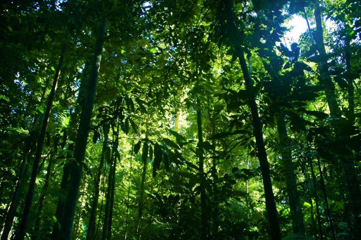 Image for Movegreen with ID of: 2508493