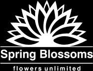 Image for Spring Blossoms Flower Shop with ID of: 2509277