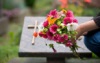 Image for Hilton & Somer LLC with ID of: 2509849