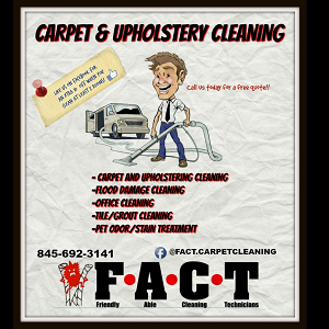 Image for FACT Carpet & Upholstery Cleaning with ID of: 2509909