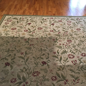 Image for FACT Carpet & Upholstery Cleaning with ID of: 2509914