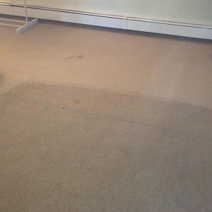Image for FACT Carpet & Upholstery Cleaning with ID of: 2509916