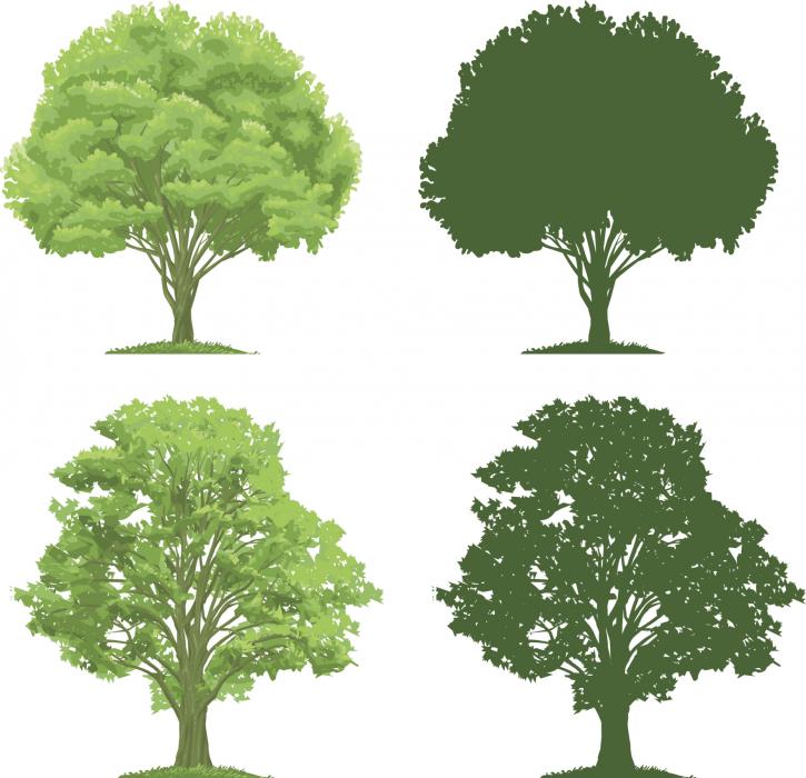 Image for Denver's Finest Tree care with ID of: 2510701