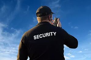 Image for Assertive Security Services Consulting Group, Inc with ID of: 2511096