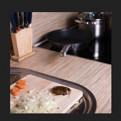 Image for Mitchell Pest Services - Arlington VA with ID of: 2511141