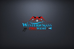Image for Western Mass Prowash LLC with ID of: 2511575