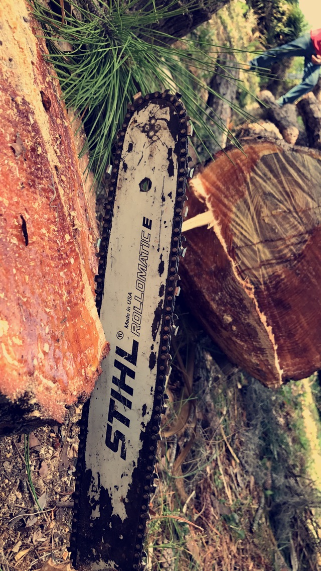 Image for UCoconut Cowboy Tree Service LLC with ID of: 2515956