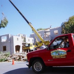 Image for UCoconut Cowboy Tree Service LLC with ID of: 2515958
