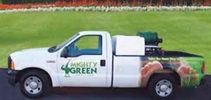 Image for Mighty Green with ID of: 2517309