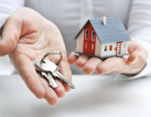 Image for Trust Law Attorney with ID of: 2517488