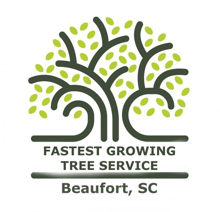 Image for J & K Tree Services LLC with ID of: 2519329