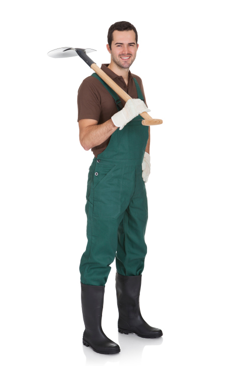 Image for Mitch Lawn Service with ID of: 2519754