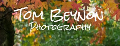 Image for Tom Beynon Photography with ID of: 2519974