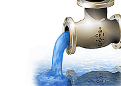Image for Clogged Bathroom & Kitchen Sink with ID of: 2521138