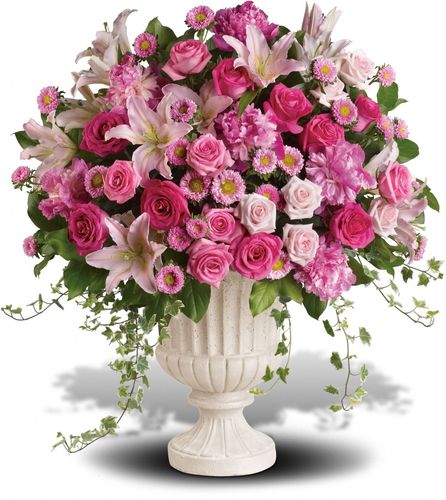 Image for Rathbone’s Flair Flowers with ID of: 2522915