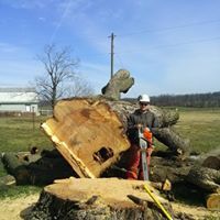 Image for Trail Tree & Landscape Services INC with ID of: 2523462