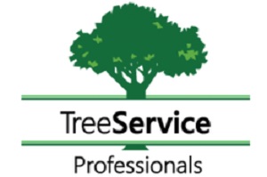 Image for Winston-Salem Tree Service with ID of: 2523883