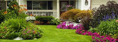 Image for Short Pump Lawn Care with ID of: 2524245