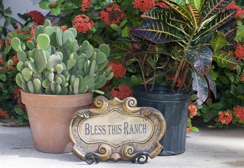 Image for Texan Guest Ranch with ID of: 2527662