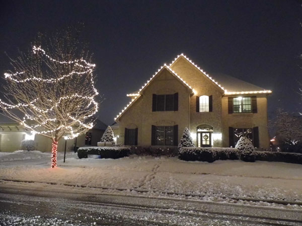 Image for Color World Holiday Lighting with ID of: 2527666