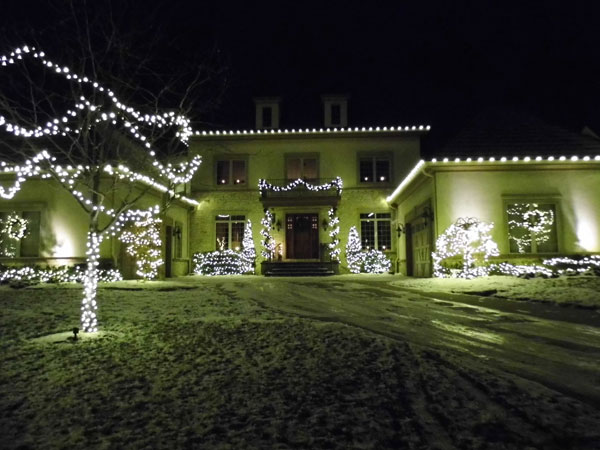 Image for Color World Holiday Lighting with ID of: 2527669