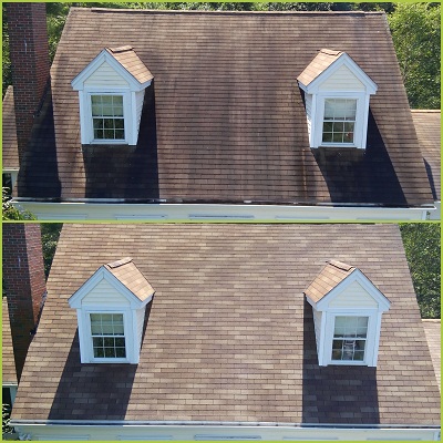 Image for Details Soft Wash Services with ID of: 2528141