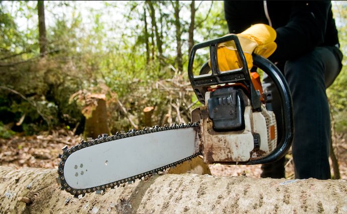 Image for BIRMINGHAM TREE SERVICE with ID of: 2528809