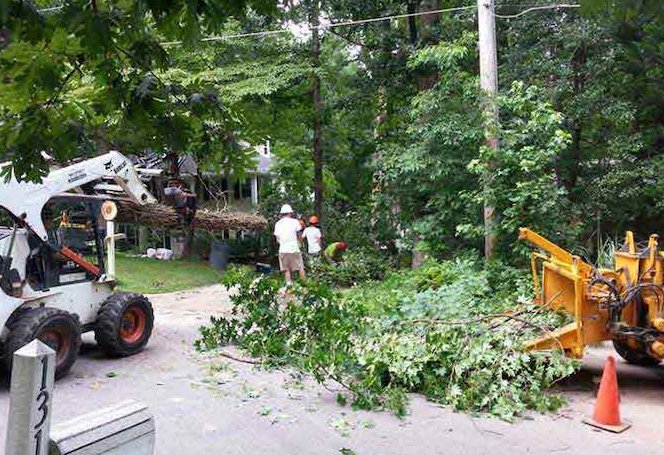 Image for BIRMINGHAM TREE SERVICE with ID of: 2528816
