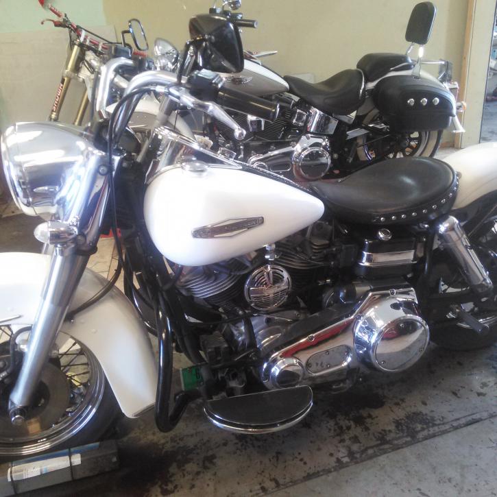 Image for All Cycles Of Ocala LLC with ID of: 2529646