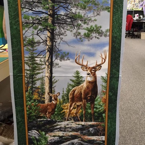 Image for Quilt-N-Sew, LLC with ID of: 2529769