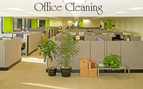 Image for All Cleaning NYC with ID of: 2530990