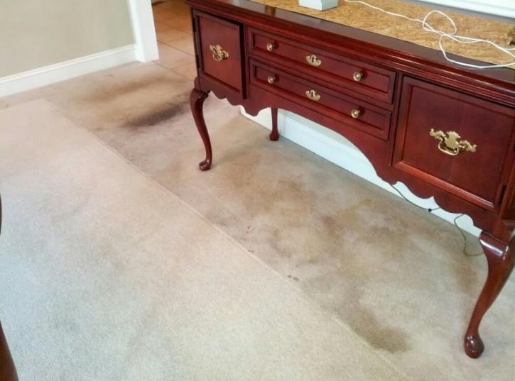 Image for Complete Floor Care with ID of: 2532725