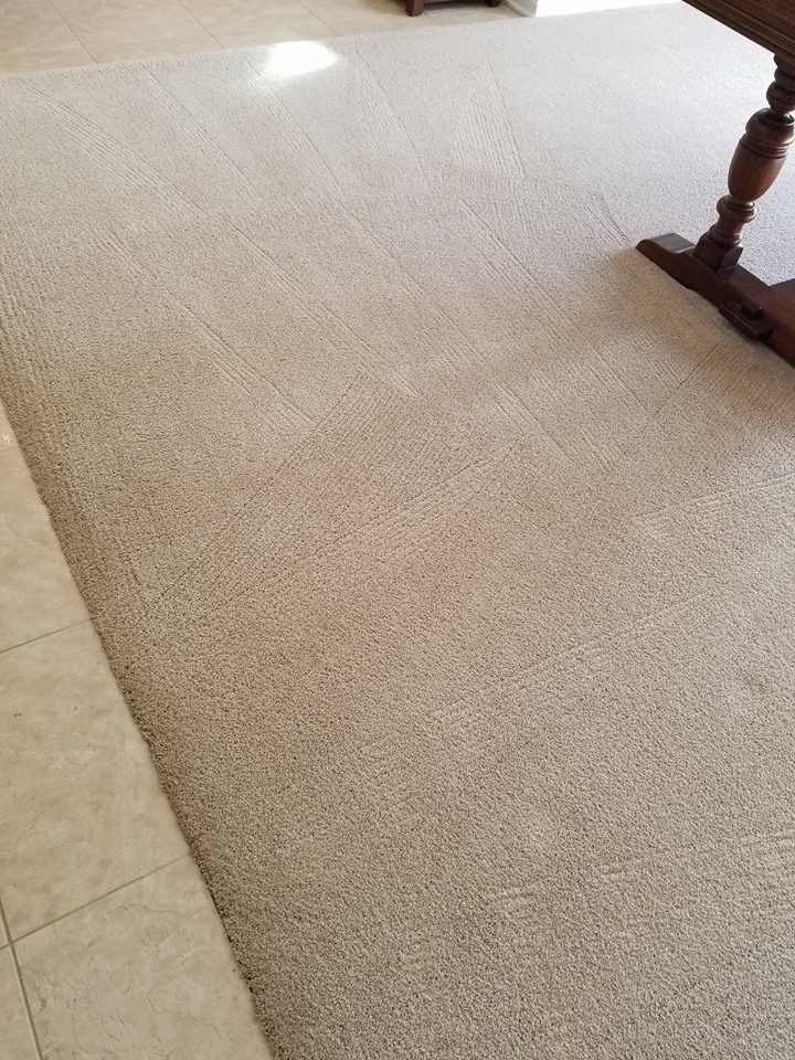 Image for Complete Floor Care with ID of: 2532727