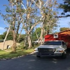 Image for HLI Tree Experts with ID of: 2533969