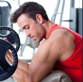Image for Muscle Theory with ID of: 2535128