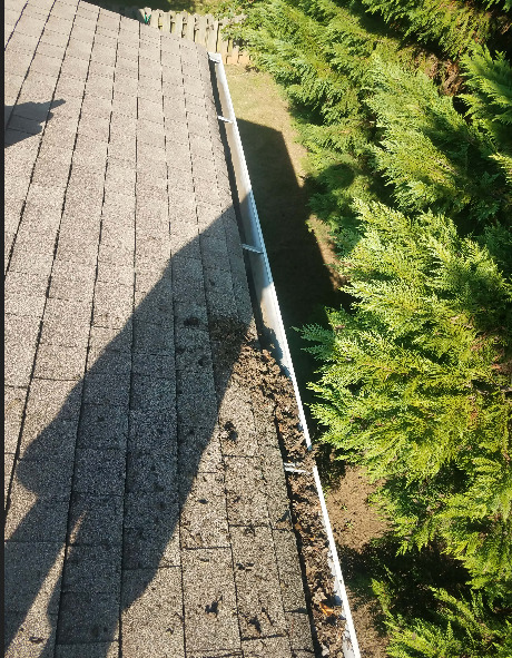 Image for All Clear Cleaning Inc with ID of: 2535499
